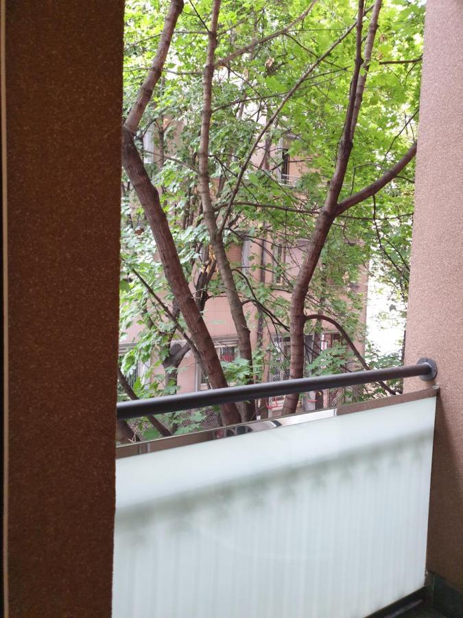 Metropol Lux Apartment Belgrade Vracar Екстериор снимка